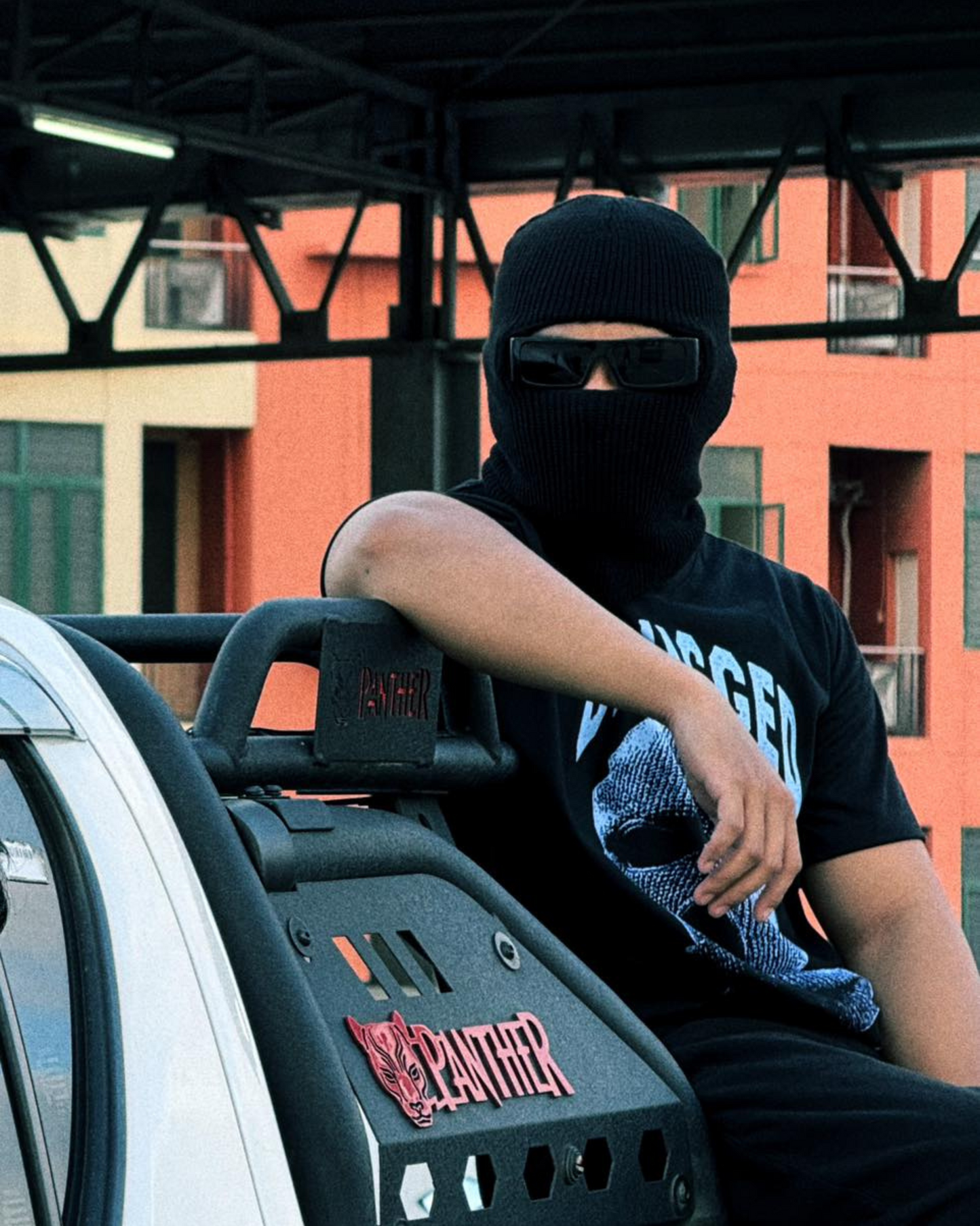 Ski Mask